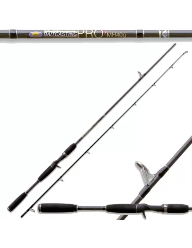 Fishing rod Bait Casting Pro Spinning 40 Gr