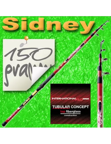 Casting fishing rod-Sidney