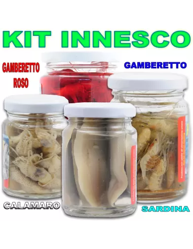 Esca sottoliquido - Kit completo-Pescaloccasione