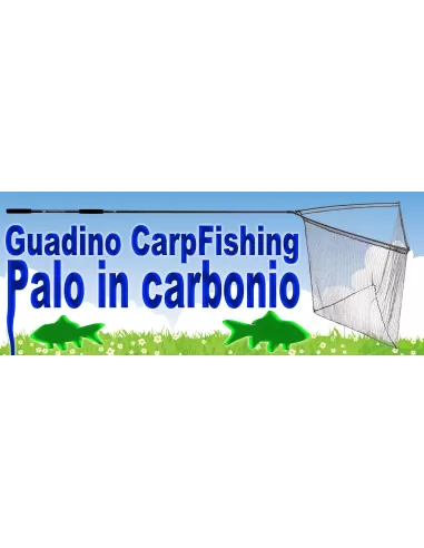 Kit testa e palo carpfishing Kit da pesca Carpfishing Lineaeffe