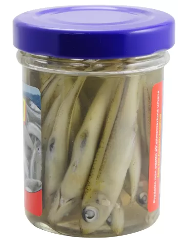 Next bait-Minnows