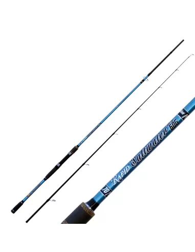 Lineaeffe Saltwater Spinn Canna da Pesca Spinning