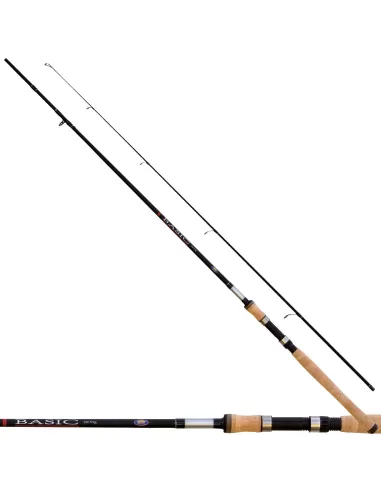 Spinning Rod-Basic 20-55 gr