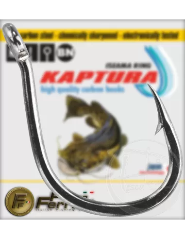 Ami kaptura pesce gatto