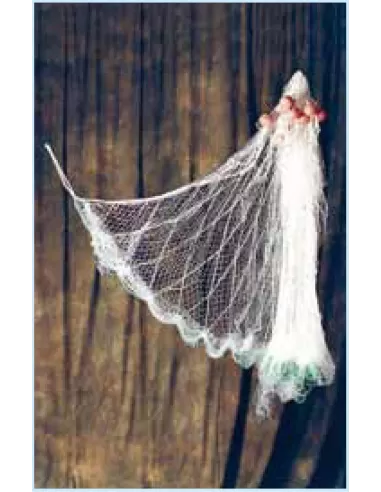 Professional become entangled fishing net