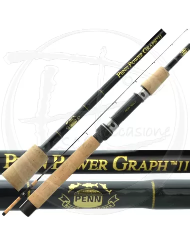 Spinning Rod-Penn Pro Graph II