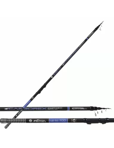 Fishing rods Bolognese 100 Grams Extra strength Action Ferrari carbon