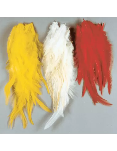 Feathers for Frames