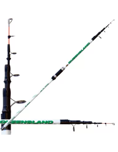 Lineaeffe Townsville's Rod Action 100 gr Beach Ledgering