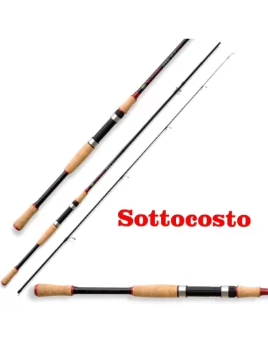 Spinning Rod in carbon 3 mt Action 30 gr