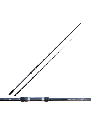 Lineaeffe Carp Rod Carp Master Pro