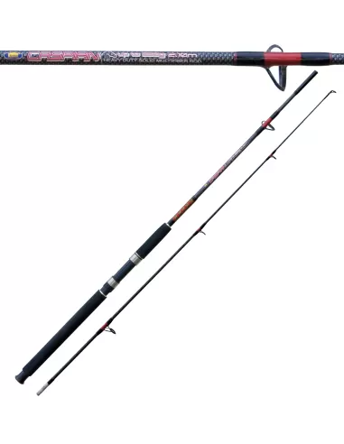 Caspian Action Fishing Rod 100 - 250g