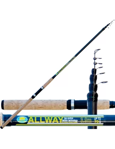 Canna Da Pesca Allway in carbonio Potenza 70 Gr-Pescaloccasione