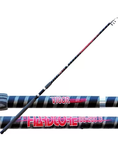 Fishing rod Vigor 100 Hardcore action-200 gr