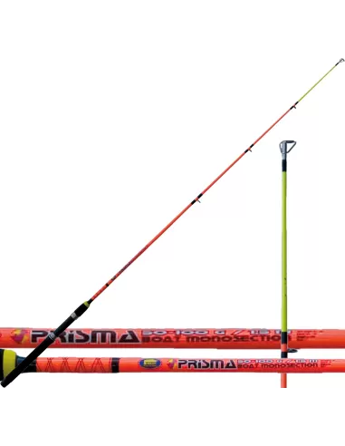 Canna da Pesca Trainetta Costiera Prisma Boat Mono 50-100 gr Canne da pesca Lineaeffe