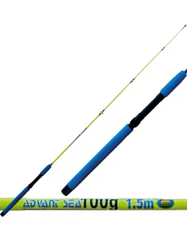 Advant Sea Coastal Train fishing rod 100g