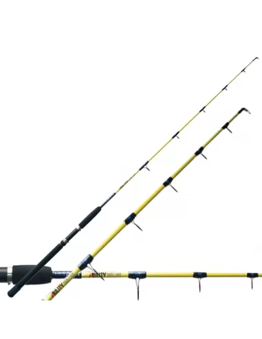 Coastal Trolling fishing rod Ability Trolling - fishing tackle