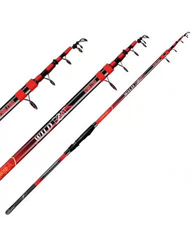 Fishing rod Fishing Falcon Wild Boat 200 gr