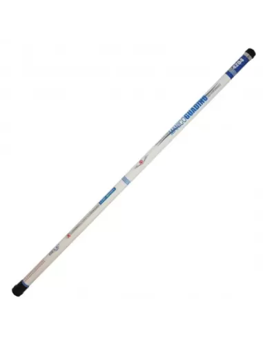 Landing net Telescopic fishing pole