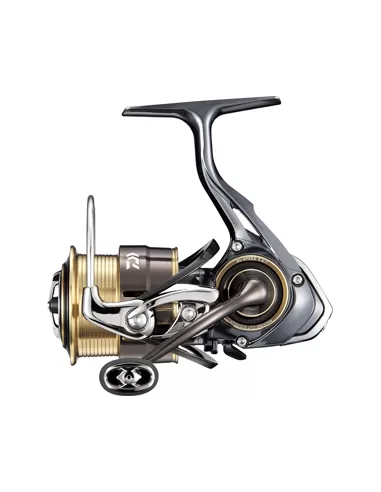 Mulinelli Daiwa Theory 17