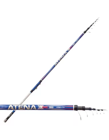 Fishing Rod Bolognese Sele Athena Bolo Carbon Braided