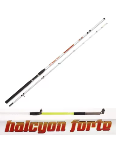 2-piece Carbon fishing rod Halcyon Strong Boat