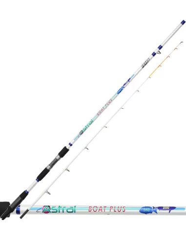 Fishing rod Boat Plus 2.40 mt 200 Grams Dip Astral