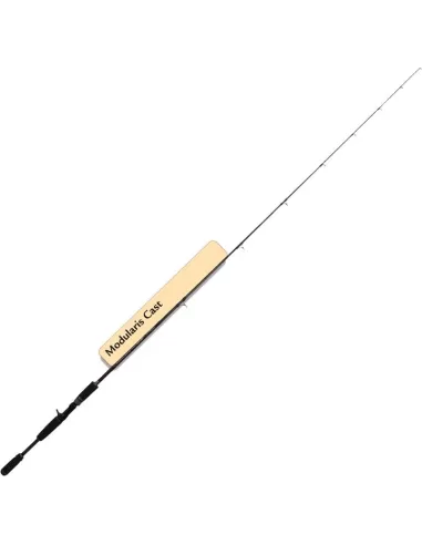 One-Carbon Cast fishing rod Alcedo Modularis