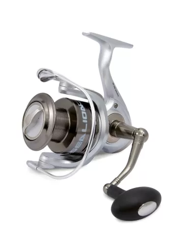 Fishing reel Bearings 10 kg Drag Power 6 Sealion