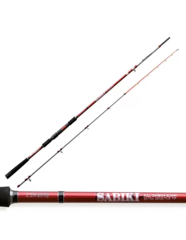 Boat fishing rod Fishing Sabiki Action 100 grams 2.5 mt