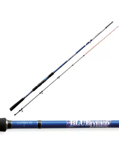 Boat fishing rod Fishing Sabiki Action 150 grams 2.5 mt