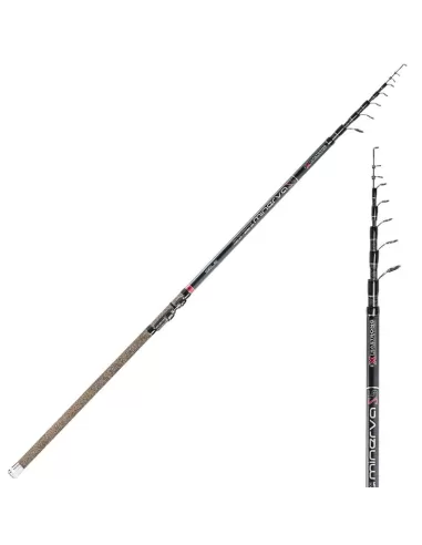 Fishing rod Minerva Allround Sele