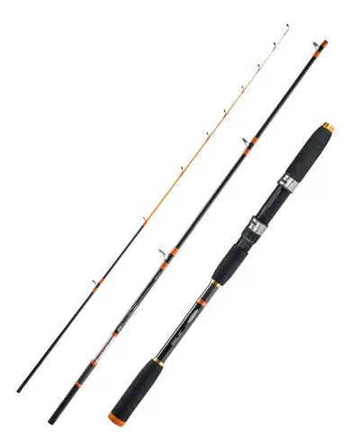 Sele boat fishing Rod Action 80 gr Artax Squid