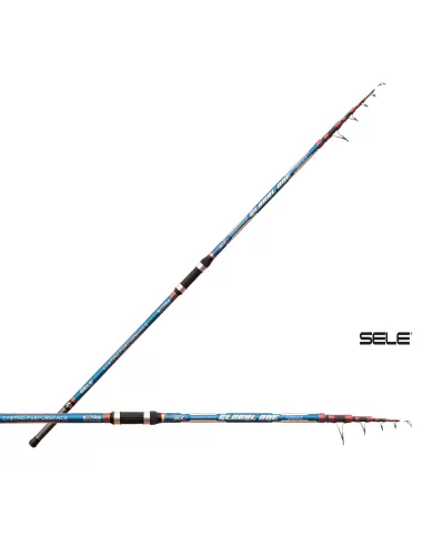 Sele Cane Surfcasting Carbon Global One 4.20 MT Action 200 GR