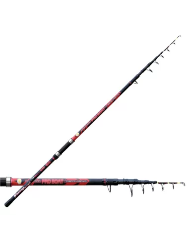 Fishing Ferrari Pro Boat Canna da Pesca Bolentino 100 gr-Pescaloccasione