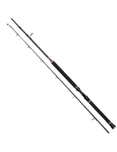 Penn Regiment II Boat Boat Fishing Rods