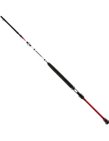 Penn Squadron II Boat Fishing Rods Boat