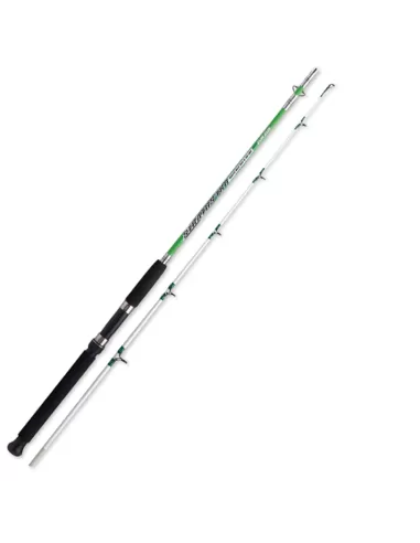 Zun Zun Stratus Boat Fishing Rod and Spinning 5 30 lbs