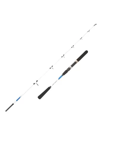 Mitchell Riptide Spinning Sea Fishing CAnna 2 Sections