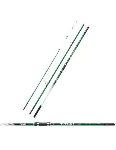 Penn Tidal Rods Surfcasting 4.20 mt 100 225 gr 3 sections in Carbon 30T