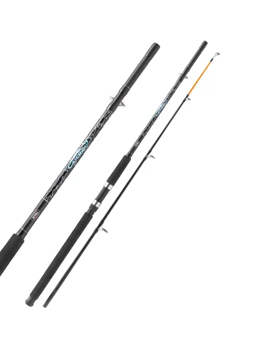 Mitchell Catch Canna da Pesca 2 sezioni Potente 100 200 gr 2.10 mt-Pescaloccasione