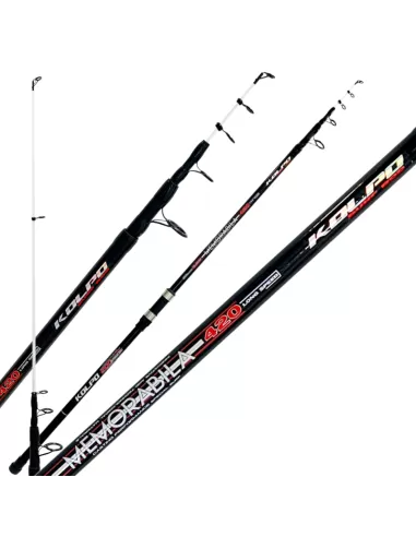 Kolpo Memorabila Fishing Rod Surfcasting 4.20 mt 200 gr