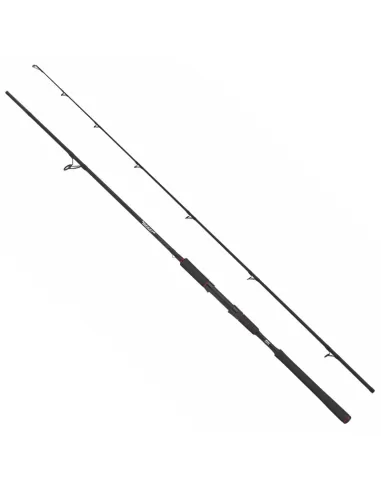 Abu Garcia Beast Spinning Rod Pike Canne da Pesca Spinning Speciale Luccio