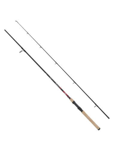 Berkley Cherrywood Spezi Eel Rod Fishing Rod 2.40mt 30 60gr