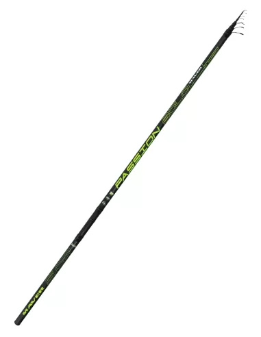 Maver Passion Canna da Pesca Bolognese con Azione Molto Rigida