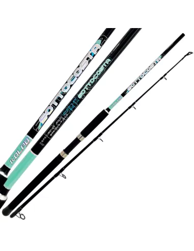 Kolpo Sottocosta Traina Bolentino Drifting Fishing Rod Barco 2 Sections