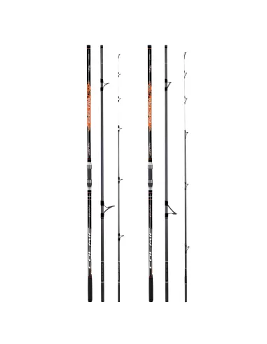 Colmic Electra 5 Fishing Rod in Three Sections 100/200 gr with Excellent Balance