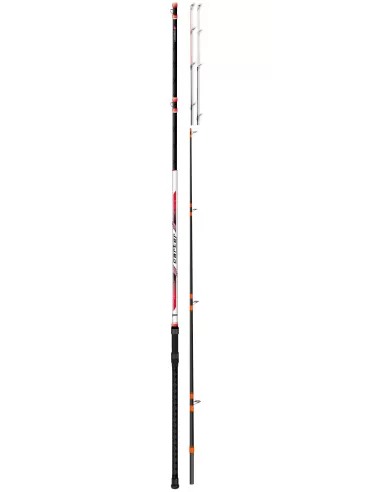 Colmic Carter Very Powerful 2 Section Boat Rod