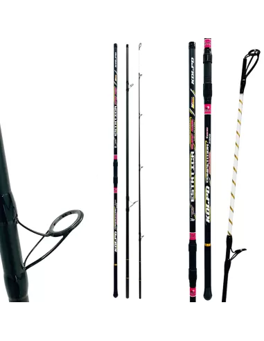 Kolpo Estatica Surfcasting Fishing Rod Three Carbon Sections 100/250 gr