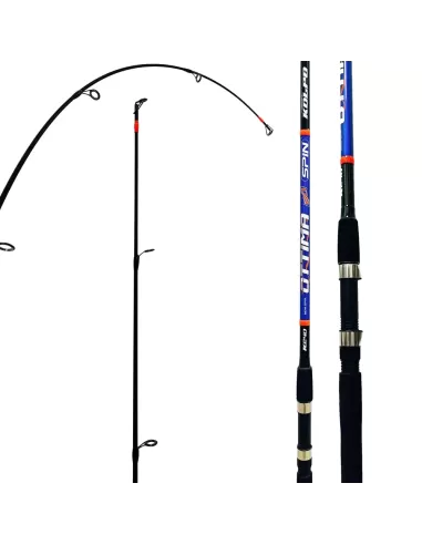 Kolpo Ottima Canna da pesca spinning due sezioni 60 gr